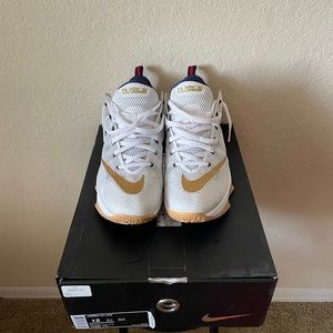 Nike Lebron 12 Low (USA)